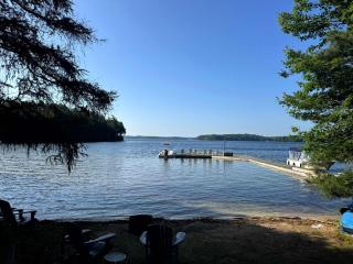 Driftwood on Rosseau - Minett - 8