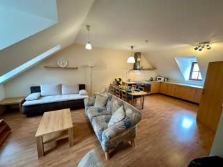 Hotel Modrásek - Kašperské Hory - 3