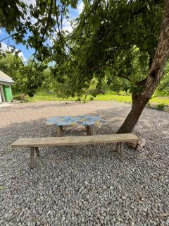 Khata uder the Blue Flower - Medvin - 7