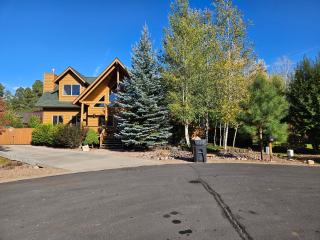 Tree House Pinetop Az - Pinetop-Lakeside - 8