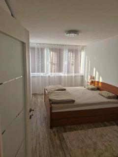 Apartment ASI - Sarajevo - 2