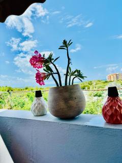 Mi Casita - 3