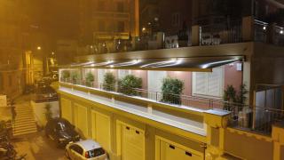 Ezlin house mare - 1
