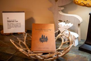 Laurel Mountain Lodge By Avada Properties - Sevierville - 3