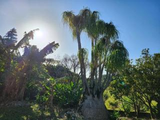 Shima-Asana, Private Yoga Retreat - Vacation STAY 89420v - Nagura - 7