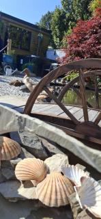 Cosy Cornish Cabin - St Austell - 8