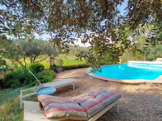 Le Figuier en plein vignoble piscine 2-3 pers à 30mn du Verdon et des plages - Carcès - 0