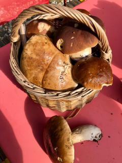 B&B Le Lodge - Bourgheim - 6