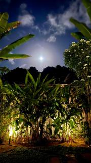 Trancoso House - Hotel Boutique - Trancoso - 5