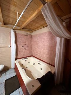 Sierra Azul Cabaña de Pareja - Mazamitla - 7