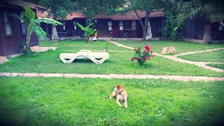 Hotel Lykia Edrassa - Adrasan - 4