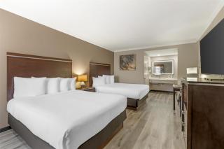 Best Western Redondo Beach Galleria Inn Hotel - Beach City LA - Redondo Beach - 7
