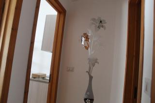 CarolHouse - Lido Conchiglie - 5