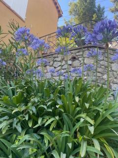 Sensivilla Guest House - Grasse - Costa Azzurra - Grasse - 1