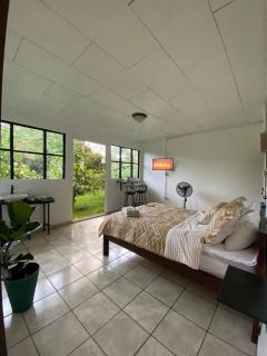 Green Lodge - Guápiles - 0