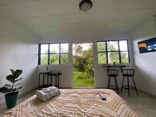 Green Lodge - Guápiles - 8