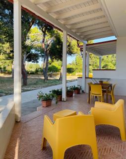 Tenuta Angelini Apartments - Otranto - 6