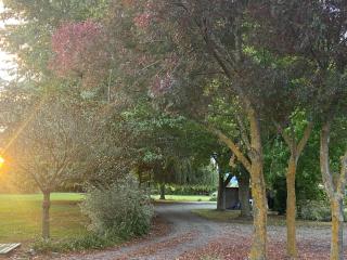 Fairhall Guest Lodge - 4