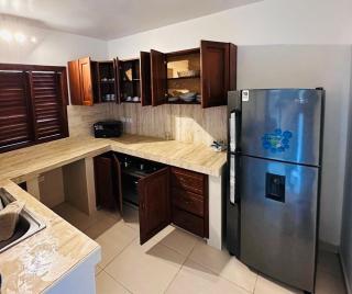 Villa with Pool by the Sea - Las Terrenas - 4