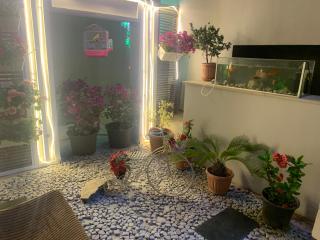 For rent,The star of stars the Icon Boutique Villas Next to The largest museum in the world - 6