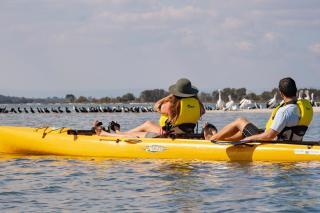 Rockingham Holiday Village - Rockingham - 1