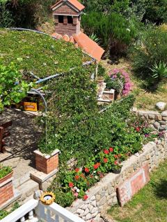 Apartments with parking space Palit, Rab - 22743 - 4