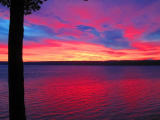 Waterfront Hood Canal-Private Beach-Boat-Kayaks - Brinnon - 2