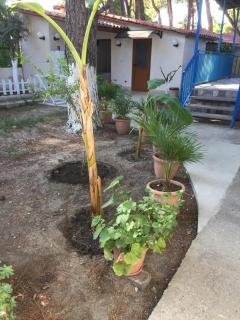 ALBEAR Holiday Home - Valona - 0