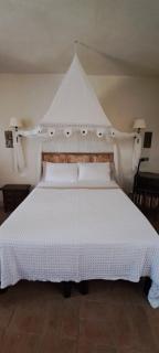 Appartamento Holly House - Radda in Chianti - 9