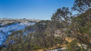 Lawlers 1 - Mount Hotham - 1