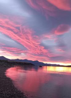 Bosques del Sur Cabañas - Ushuaia - 1