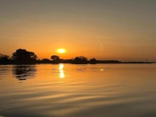 Luxury holiday home surrounded by water and forest - Sint Nicolaasga - 9