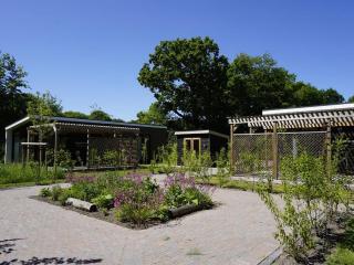 Luxury holiday home surrounded by water and forest - Sint Nicolaasga - 3