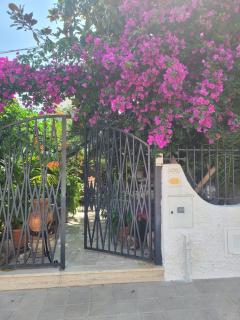 Nel cuore del Salento - Montalbano - 9