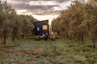 Olive Grove Retreat 1 by Tiny Away - Lake Boga - 3