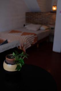 Casa Roma - Taxco de Alarcón - 2
