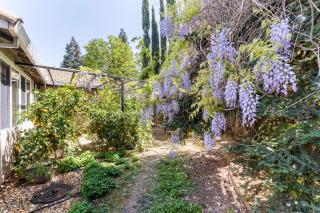 Rose Garden - Sacramento - 6