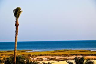 Ahla - - 3