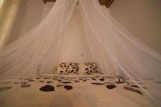 Bodikos Villas & Apartments - Pitsidia - 8