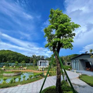 Dragon Homestay Hà Tiên - Hà Tiên - 5