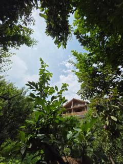 Zankhrpas A Himalayan Home - Manali - 9