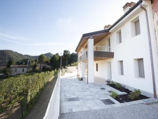Modern apartment in the Prosecco hills - Farra di Soligo - 3