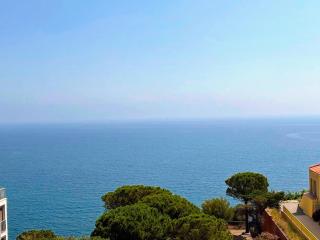 BANYULS-SUR-MER, appartement T2 avec ascenseur proche plage - FR-1-309-102 - Banyuls-sur-Mer - 0