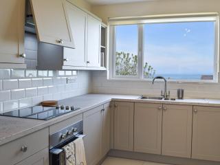 Yr Encil - New Quay - 5