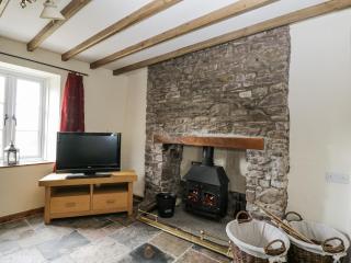Woods Cottage - Usk - 6