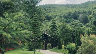 98 Mae Ram Residence - Ban Thung Pa Haeo - 8