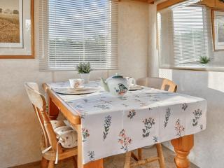 Goldfinch - Uk48551 - Colchester - 7