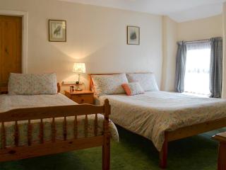 The Bridge Inn Apartment - Bridgerule - 5