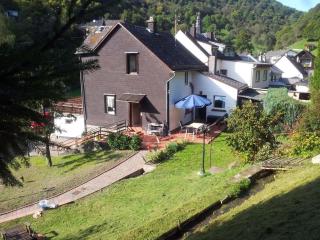 romantic side valley of Rhenish Slate Mountains - Sauerthal - 9