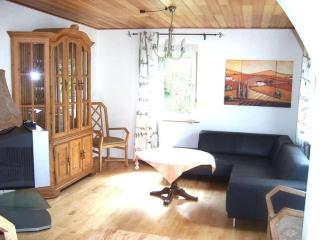 romantic side valley of Rhenish Slate Mountains - Sauerthal - 1